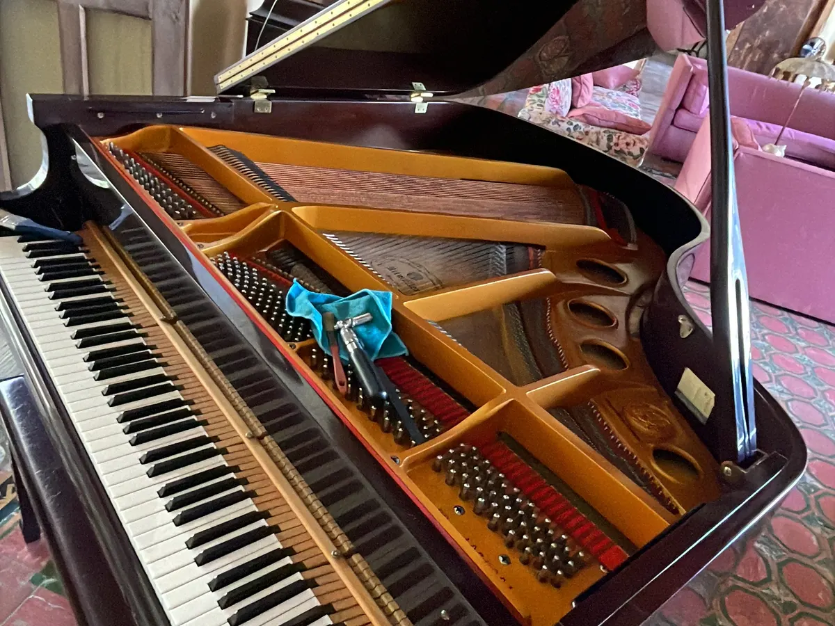 Piano de cola abierto — revisión integral