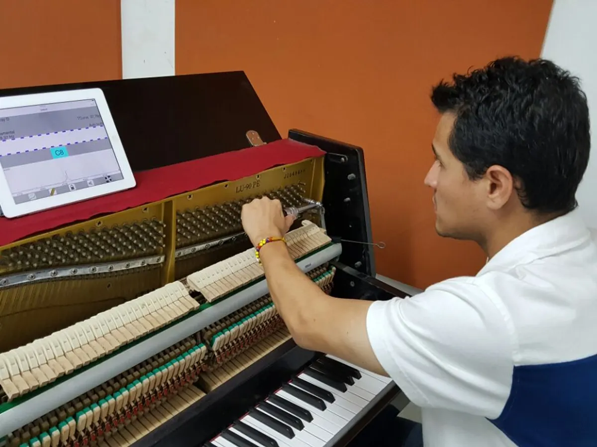 Afinación asistida por software